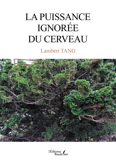 Image de La puissance ignorée du cerveau