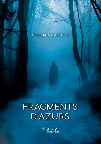 Image de Fragments d'azurs