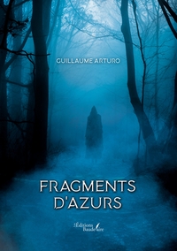 Image de Fragments d'azurs