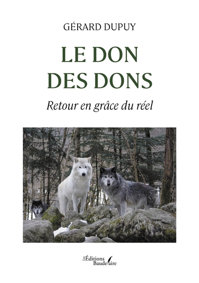 Image de Le don des dons