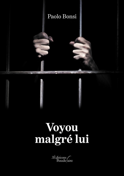Image de Voyou malgré lui
