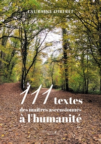 Image de 111 textes des maîtres ascensionnés à l'humanité