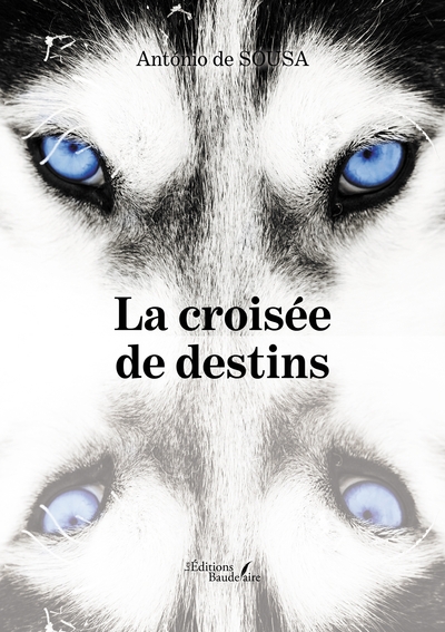 Image de La croisée de destins