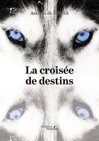 Image de La croisée de destins