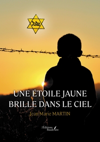 Image de Une étoile jaune brille dans le ciel