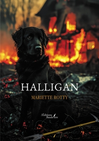 Picture of Halligan