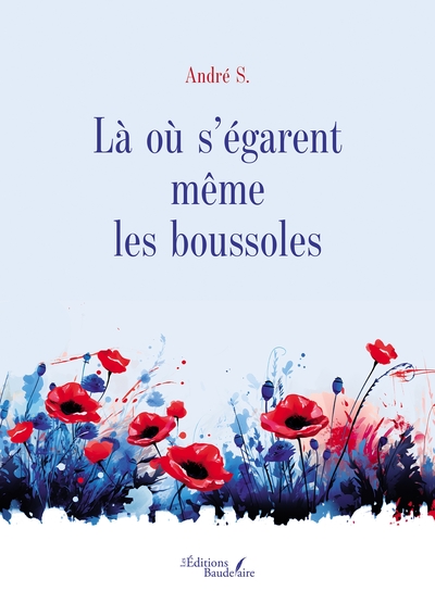 Image de Là où s'égarent même les boussoles