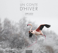 Image de Un conte d'hiver