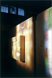 Image de Rachel Whiteread Transient Spaces /anglais