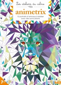 Image de Animetrix - cahier avec autocollants