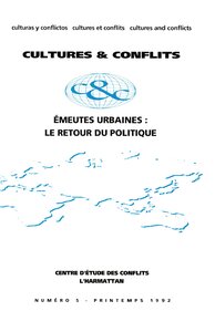 Image de Emeutes urbaines : Le retour du politique