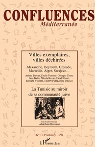 Image de Villes exemplaires, villes déchirées