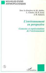 Picture of L'ENVIRONNEMENT EN PERSPECTIVE