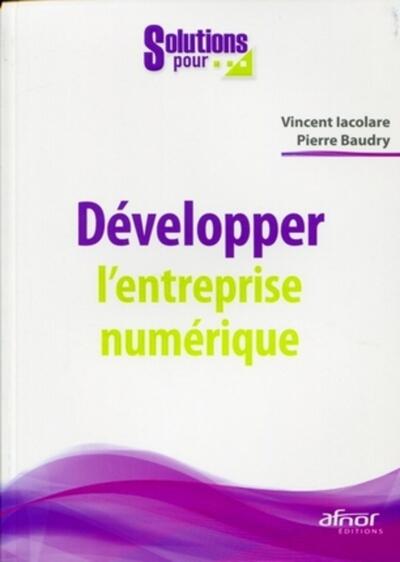 Picture of Développer l'entreprise numérique