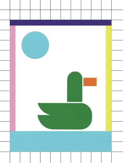 Image de Le cas canard