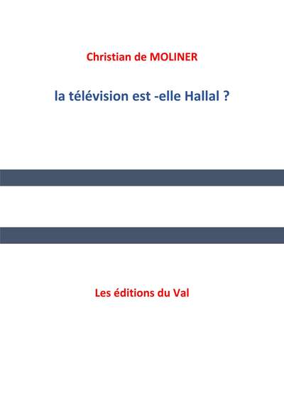 Image de La télévision est-elle halal ?