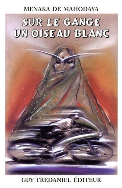 Image de Sur le gange, un oiseau blanc