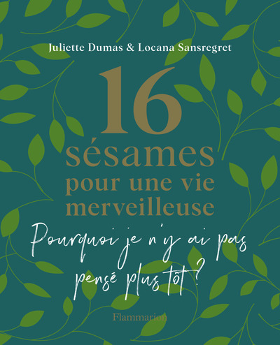 Image de 16 sésames pour une vie merveilleuse