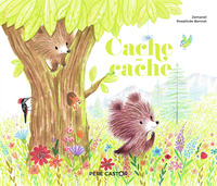 Picture of Cache-cache