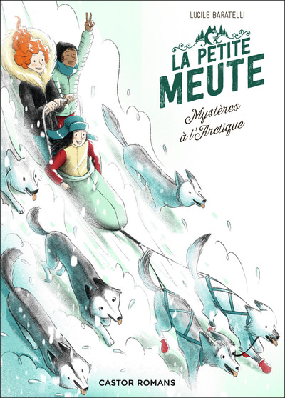 Image de Mystères à l'Arctique