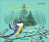 Picture of Pourquoi les conifères sont-ils toujours verts ?