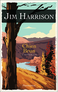 Picture of Chien Brun