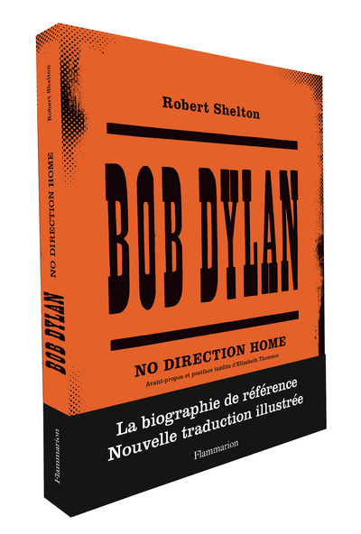 Picture of Bob Dylan