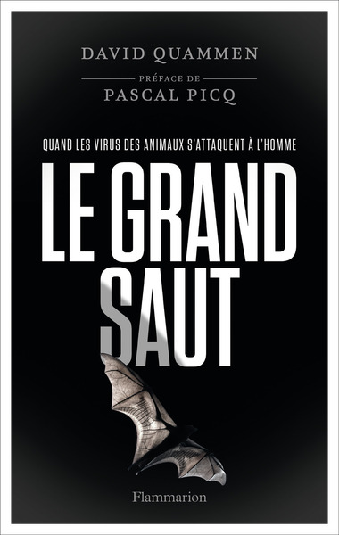 Image de Le grand saut