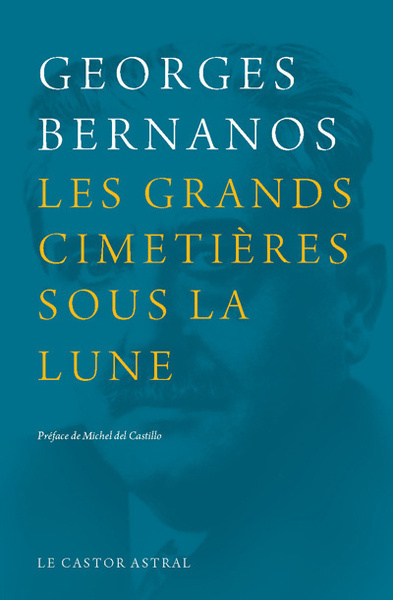 Picture of Les Grands cimetières sous la lune