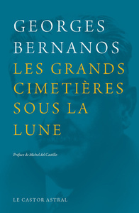 Picture of Les Grands cimetières sous la lune