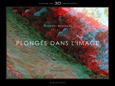 Picture of Plongée dans l'image