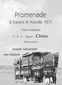 Picture of Promenade autour du monde - 1871