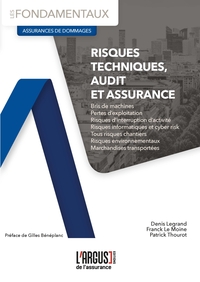 Image de Risques techniques, audit et assurance
