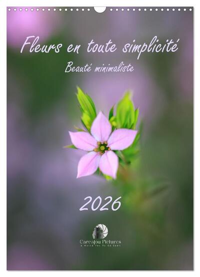 Image de Fleurs en toute simplicité - Beauté minimaliste (Calendrier mural 2027 DIN A3 horizontal), CALVENDO calendrier mensuel