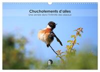 Image de Chuchotements d'ailes - Une année dans l'intimité des oiseaux (Calendrier mural 2027 DIN A3 vertical), CALVENDO calendrier mensuel