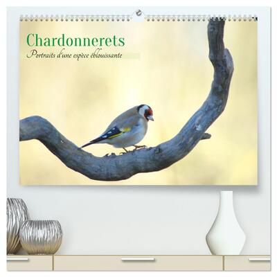 Image de Chardonnerets - Portraits d'une espèce éblouissante (Calendrier mural haut de gamme 2027 DIN A2 vertical), CALVENDO calendrier mensuel