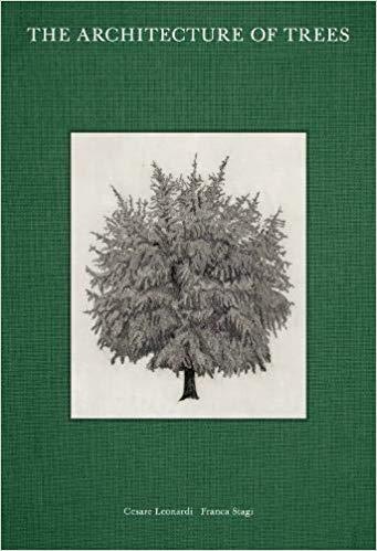 Picture of The Architecture of Trees /anglais