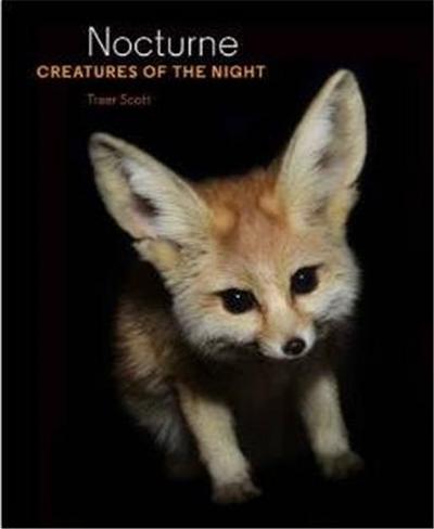 Image de Nocturne Creatures of the Night /anglais