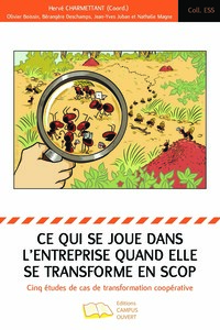 Picture of Ce qui se joue dans l'entreprise quand elle se transforme en scop