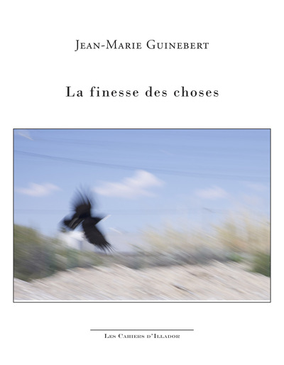 Picture of La finesse des choses