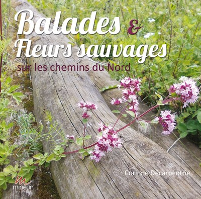 Image de BALADES ET FLEURS SAUVAGES sur les chemins du Nord
