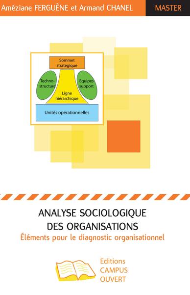 Picture of Analyse sociologique des organisations