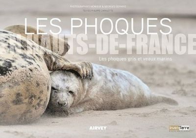 Image de LES PHOQUES en Hauts-de-France