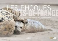 Image de LES PHOQUES en Hauts-de-France