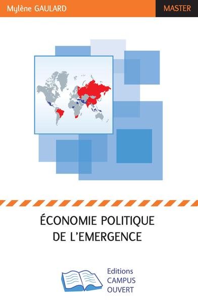 Picture of Economie politique de l'émergence