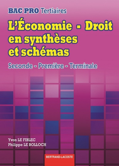Picture of L'ECONOMIE-DROIT EN SYNTHESES ET SCHEMAS
