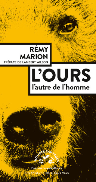 Picture of L'ours