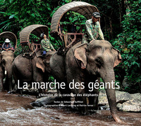 Picture of La Marche des Géants