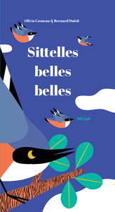 Image de Sittelles, belles, belles