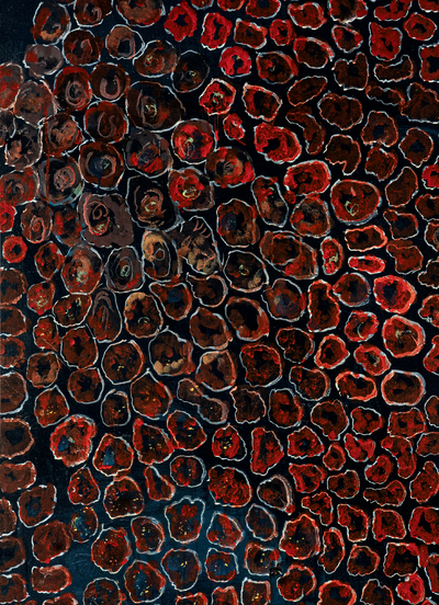 Picture of L'Oeil nu